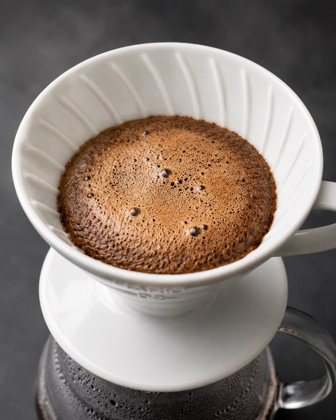 Why Coffee Blooms